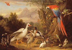 A Macaw, Ducks, Parrots and Other Birds in a Landscape